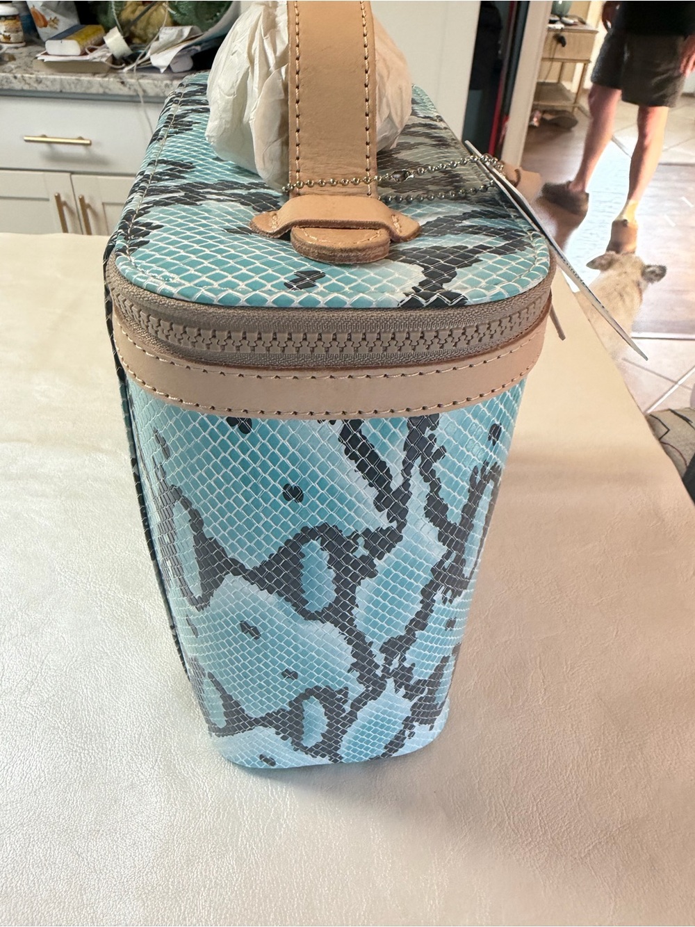 Consuela Turquoise Snake-Print Cosmetic Case with Tan Trim - Picture 4 of 9